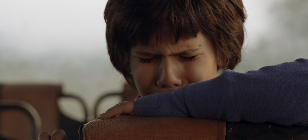 kad su ovce bile roze